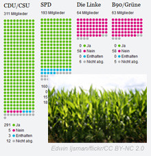 Grafik: Genmaisabstimmung