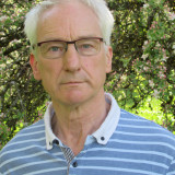 Portrait von Dieter Stein
