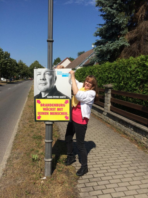 Wahlplakate aufhängen Wahlplakate