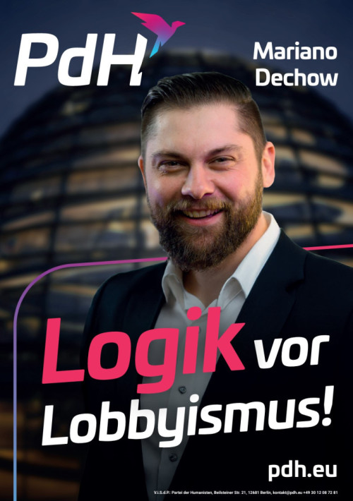 Direktkandidatenplakat