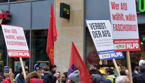 Teilnehmer an der antifaschistischen Massendemo in Köln am 25.1.25