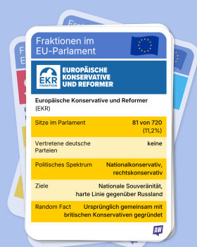 Spielkarte der EU-Fraktion EKR